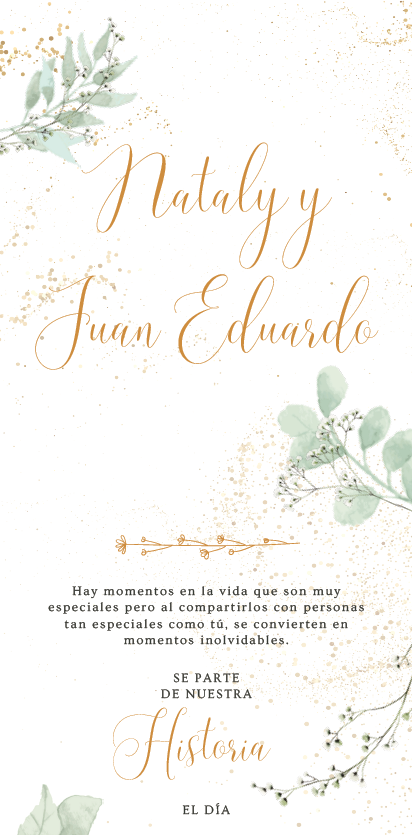 Ejemplo 3 Plan Platino
